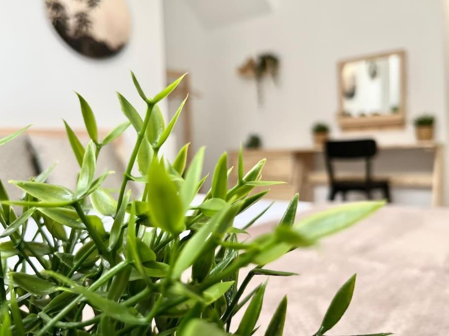 Apartamento Vive Zaragoza V 外观 照片